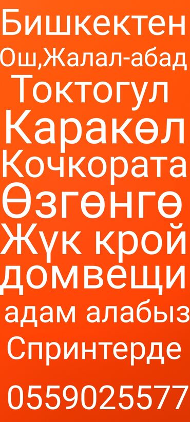 спринтер буу: Вывоз бытового мусора, По региону, По городу, По стране, без грузчика