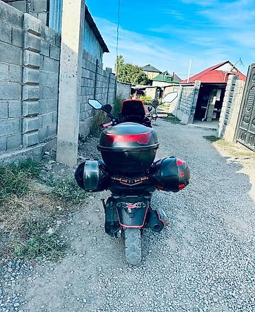 gilera runner: Скутер/мопед с агрессивным спортивным стайлингом Характеристики и — 5