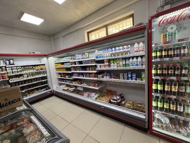 бу морозильник: Для напитков, Для молочных продуктов, Для мяса, мясных изделий, Италия, Б/у