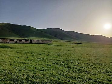 ферма скотник: Farm КРС, 50 соток, Действующий, Без оборудования, Электричество, Холодная вода — 2