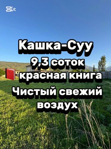 арзан жер: 10 соток, Для бизнеса, Красная книга
