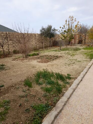 Həyət evləri və villaların satışı: Mehdiabad 10 otaq, 480 kv. m, Kredit yoxdur, Orta təmir — 17