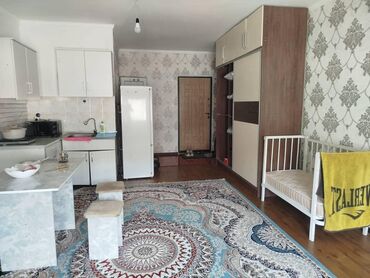 квартира на лень: 1 бөлмө, 25 кв. м, Малосемейка, 4 кабат, Косметикалык ремонт