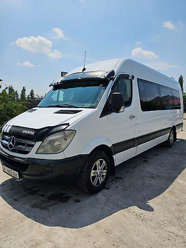 Mercedes-Benz: Mercedes-Benz Спринтер: 2007 г., Бус — 5
