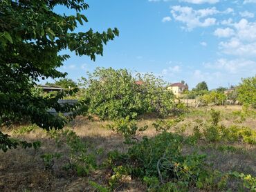 Torpaq sahələrinin satışı: 34 sot, Mülkiyyətçi, Kupça (Çıxarış), Bələdiyyə — 11
