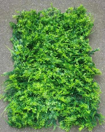 Baštenska dekoracija: Vestacko zelenilo, paneli i dodaci za ukrasavanje prostora, kuce — 2