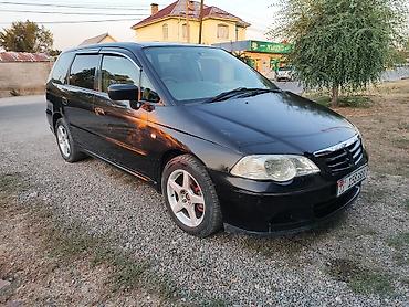 antigravity a1 цена: Honda Odyssey: 2001 г., 2.3 л, Автомат, Бензин, Минивэн — 1