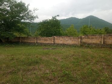 Ev və bağ: Salam hervaxtin xeyir 5 sot qaunui belediyi cixarşli ve katasdir