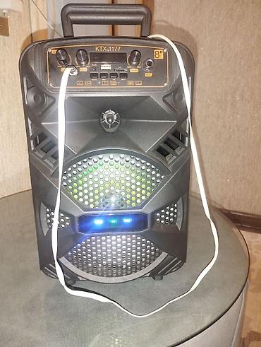 Portativ səs gücləndiricisi KTX-1177 (8") - 8" dinamikli güclü
