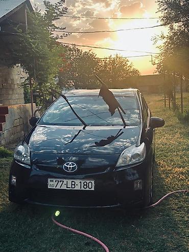 prius maqnitola: Toyota Prius: 1.8 l | 2011 il Hetçbek — 2