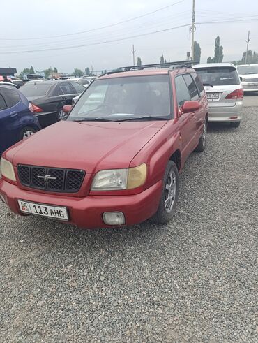 Subaru: Subaru Forester: 2000 г., 2 л, Автомат, Газ, Кроссовер