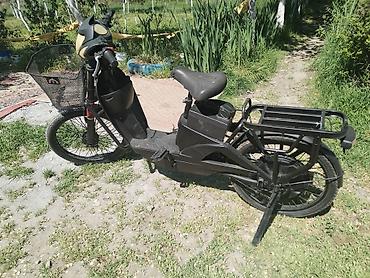 Ostali motocikli i skuteri: Električni skuter – kargo/utility tip - Boja: crna, niskog rama za — 2