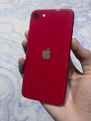 apple m4: IPhone SE 2020, Б/у, 256 ГБ, Красный, 80 % — 1
