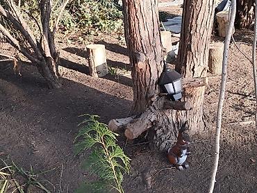 Prodaja stanova: Vreme je da se ode iz grada — nazad u prirodu. Nudimo prelepu kuću u — 21