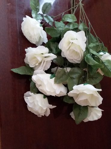 цветы комнатные в бишкеке: Искусств. цветы для флористики и оформления торжественного зала