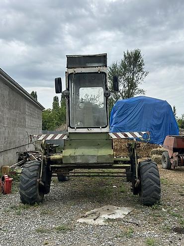 traktor altlıqlı bej bosonojkalar: Özünüidarə olunan biçən: Fortschritt E 303 (saman/ot biçini üçün) - — 2