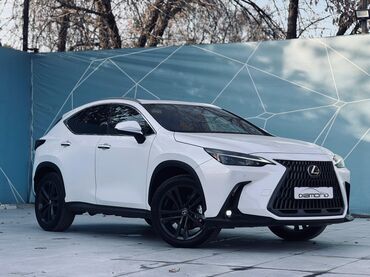 Lexus: Lexus NX: 2024 г., 2.5 л, Автомат, Бензин, Кроссовер — 3