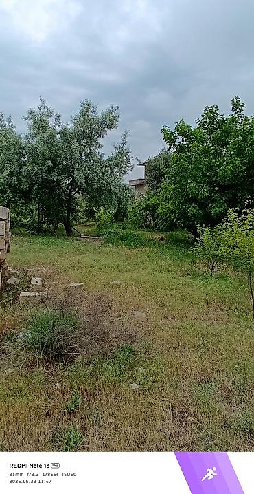 Torpaq sahələrinin satışı: 12 sot, Tikinti, Mülkiyyətçi, Kupça (Çıxarış) — 4