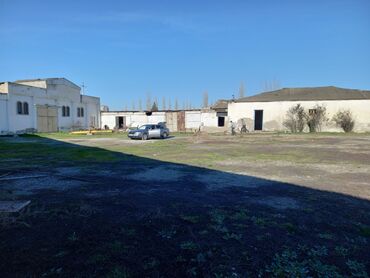 Kommersiya daşınmaz əmlakının satışı: TƏCİLİİİİ!!!Kupça (çıxarış) var Bütün tikililər 40 sotun içindədir — 7