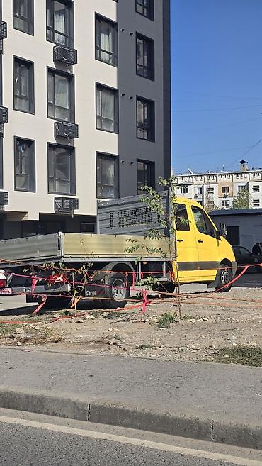 спринтер морозильник: Легкий грузовик, Mercedes-Benz, Дубль, 3 т, Б/у — 1