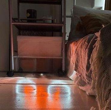 Rasveta: NEON LED TRAKA FLEX CREVO IP67 12V SVETLO PLAVA | *U ponudi i — 26