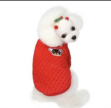 Зоотовары: Одежда для кошек и собак. Все НОВОЕ РАЗМЕР И ЦЕНА УКАЗАНЫ НА ФОТО — 29