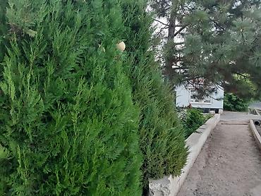 Посуточная аренда квартир: 1 комната, Постельное белье, Парковка, Бронь — 25