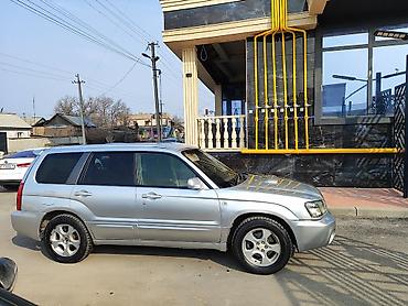 Subaru: Subaru Forester: 2003 г., 2 л, Автомат, Бензин, Универсал — 30