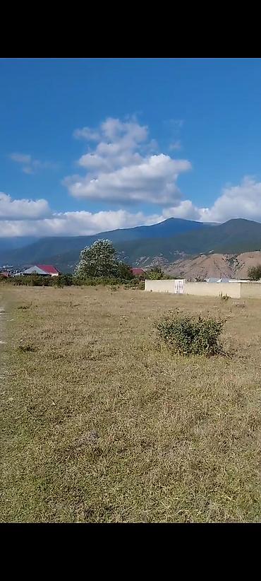 barter kupça: 3 sot, Tikinti, Mülkiyyətçi, Kupça (Çıxarış) — 3