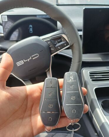 Açarlar, zamoklar, pultlar: BYD BYD, Çin, Yeni — 2