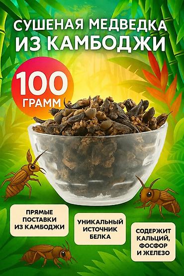 Продукты питания: Сушёная медведка из Камбоджи — 100 г - Прямые поставки из Камбоджи - — 1