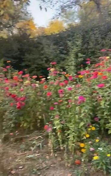 Продажа дач: Продается: Дачный участок с домом, 3 ком, 55 м², Обмен есть. Ориентир — 6