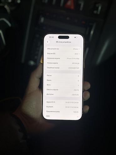 афон хр: IPhone 17 Pro Max, 256 ГБ, «золотой/медный» цвет Основные — 4