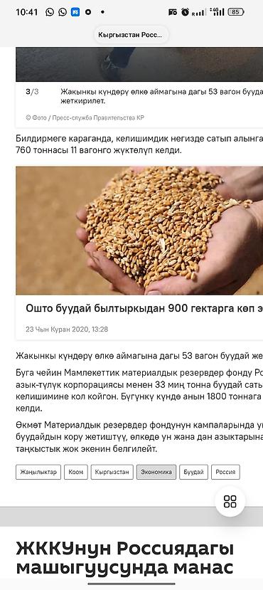 Семена и саженцы: Дун баада Казак буудайы сатылат с место 23 сом 50 кгдык стандарт — 1