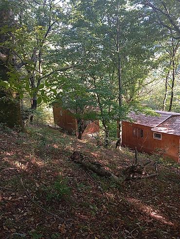 Günlük kirayə evlər: Masalli rayonu. İsti su istirahet merkezine yaxin. Turan restoranina — 15
