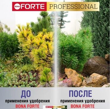 Удобрения и садовая химия: Удобрение Самовывоз, Платная доставка — 6