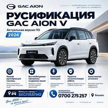 e53 4 8: Русификация авто, Китай — 1