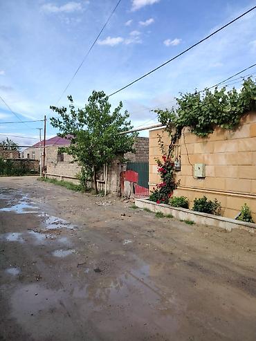 masazirda heyet evleri 2024: Satılır: yarımçıq tikili və həyət sahəsi - Material: daş hörgü - — 9