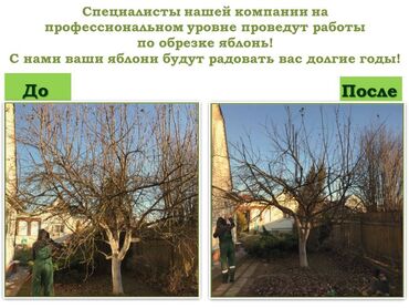 гранит брусчатка: ОБРЕЗКА САДОВЫХ ДЕРЕВЬЕВ ФОРМИРОВКА ПИЛИМ ДРОВА ВОЗМОЖНО ВЫЕЗД ПО