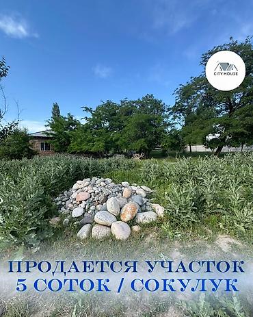 участок иссык кол: 5 соток, Для строительства, Договор купли-продажи, Красная книга — 1