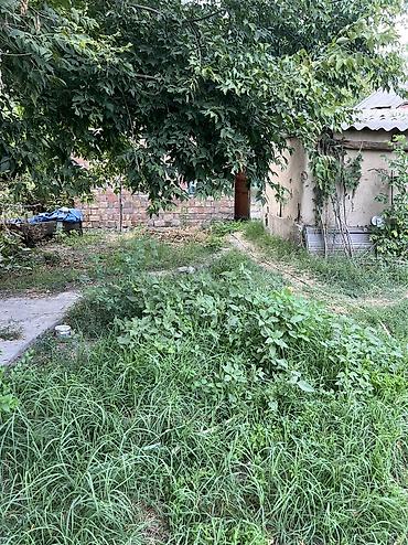 дом с выкупом: Комсомольское Продаётся участок с домом Участок правильной — 7