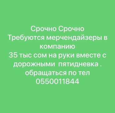 работа обой: Требуется Мерчендайзер, График: Пятидневка, Стажировка, Карьерный рост