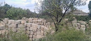 agac sekilleri: Kubiklər, Kredit yoxdur — 3
