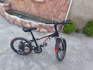 velosiped 3 təkər: İki təkərli Uşaq velosipedi Stels, 20"