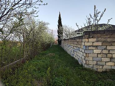 Torpaq sahələrinin satışı: 7 sot, Tikinti, Mülkiyyətçi, Kupça (Çıxarış) — 13