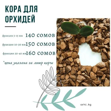 орхидея гулу in Кыргызстан | ДРУГИЕ КОМНАТНЫЕ РАСТЕНИЯ: Продается сосновая кора для орхидей (Россия)