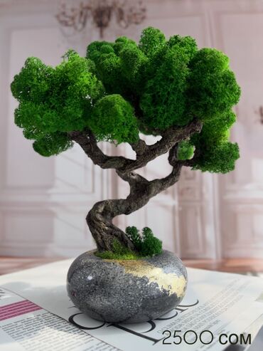 Декоративные цветы: Деревья-бонсай из натурального стабилизированного мха🌳 -это — 35