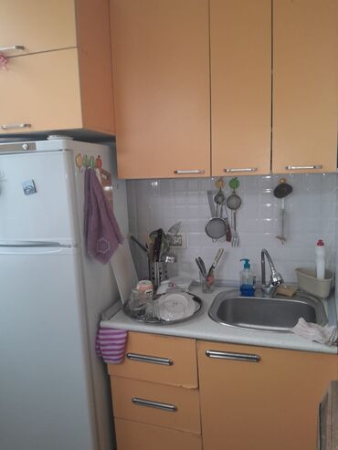 Çöl bitkiləri: Zabrat 2 stansiyasına yaxındir. sənəd kupça avtobus dayanacağına — 8