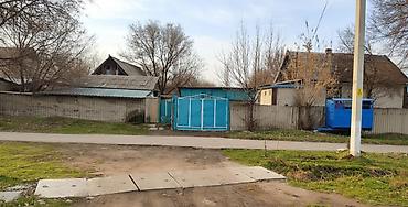 участки кызыл ту: 40 соток, Для строительства, Красная книга — 1