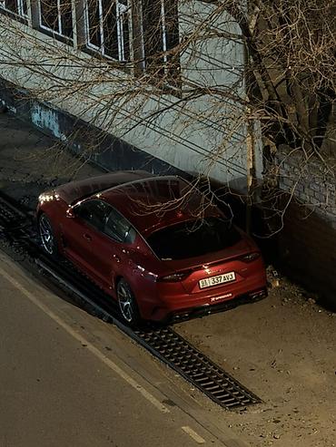 киа к5 хищник: Kia Stinger: 2019 г., 2 л, Автомат, Бензин, Лифтбек — 4